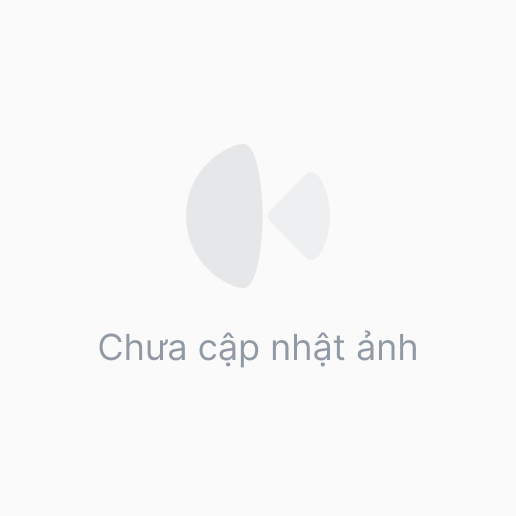 Dây chì số 6